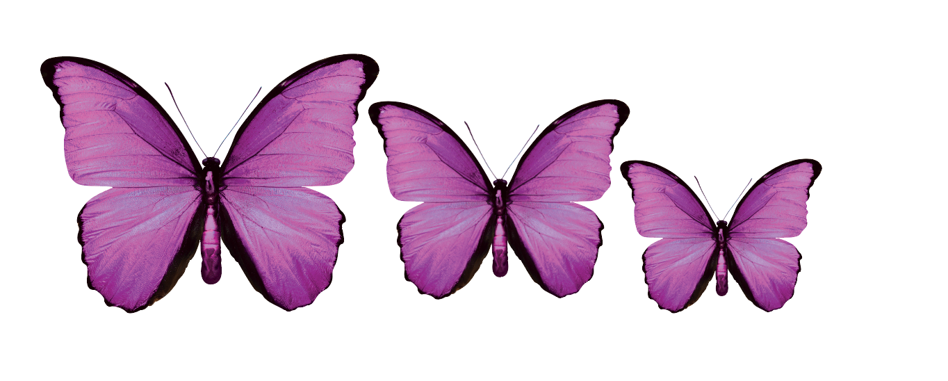 PALC-05 Set Of 3 Butterfly diferent colours Wall Art Acrylic Prints Fashionable Pictures - 18"X14" - 16"X12" - 14"X10", Violet