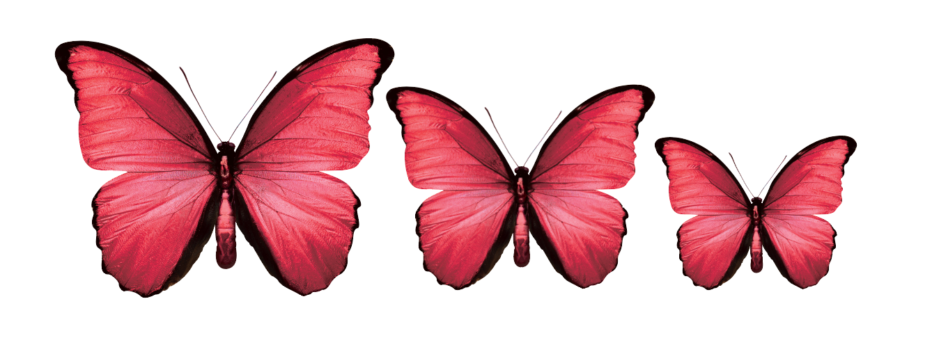 PALC-05 Set Of 3 Butterfly diferent colours Wall Art Acrylic Prints Fashionable Pictures - 18"X14" - 16"X12" - 14"X10", Red