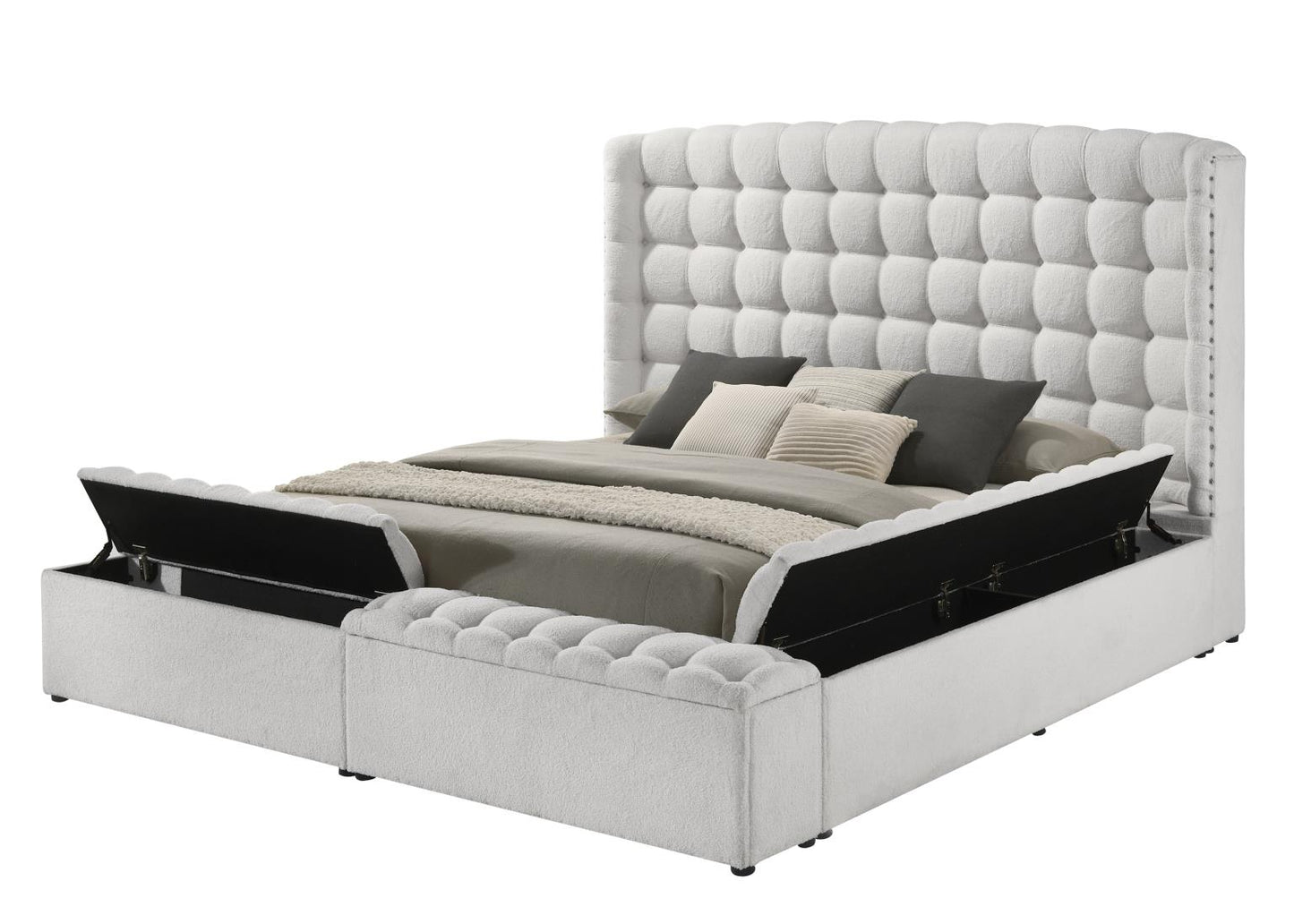 Modern  Bed B802