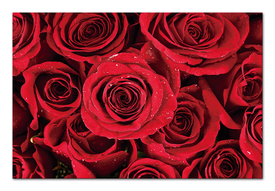 Red Roses Acrylic Picture