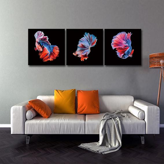 Siamese Fighting Fish in Tempered Glass Print