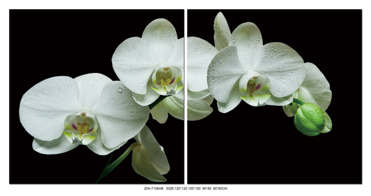 White Orchids Acrylic Print