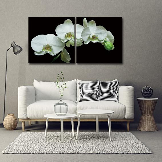 White Orchids Acrylic Print