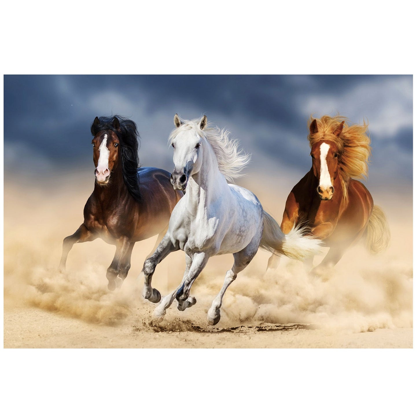 Three Horses Acrylic Print