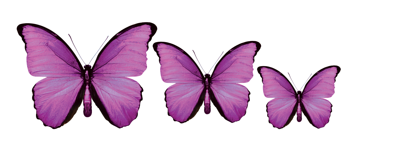 PALC-05 Set Of  3 Butterfly diferent colours Wall Art Acrylic Prints Fashionable Pictures - 18"X14" - 16"X12" - 14"X10", Violet