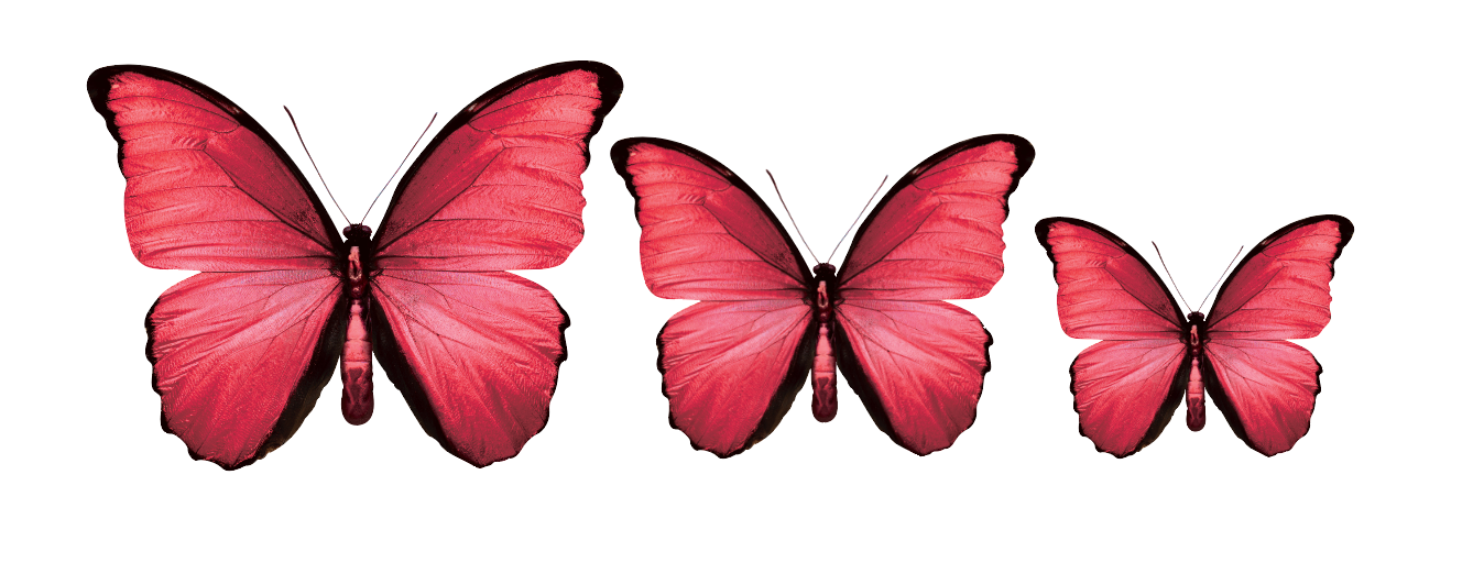 PALC-05 Set Of  3 Butterfly diferent colours Wall Art Acrylic Prints Fashionable Pictures - 18"X14" - 16"X12" - 14"X10", Red