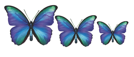 PALC-05 Set Of  3 Butterfly diferent colours Wall Art Acrylic Prints Fashionable Pictures - 18"X14" - 16"X12" - 14"X10", Multicolor