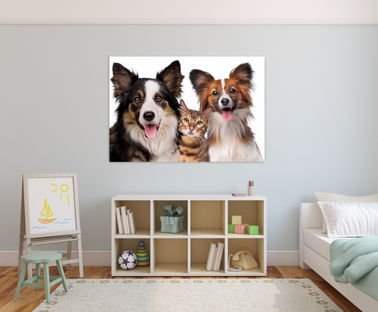 NC-52 Portrait Of a Border Collie a Cat And a Papillion Dog Looking At The Camera Wall Art Acrylic or Tempered Glass Prints - 47"x32", Acrylic