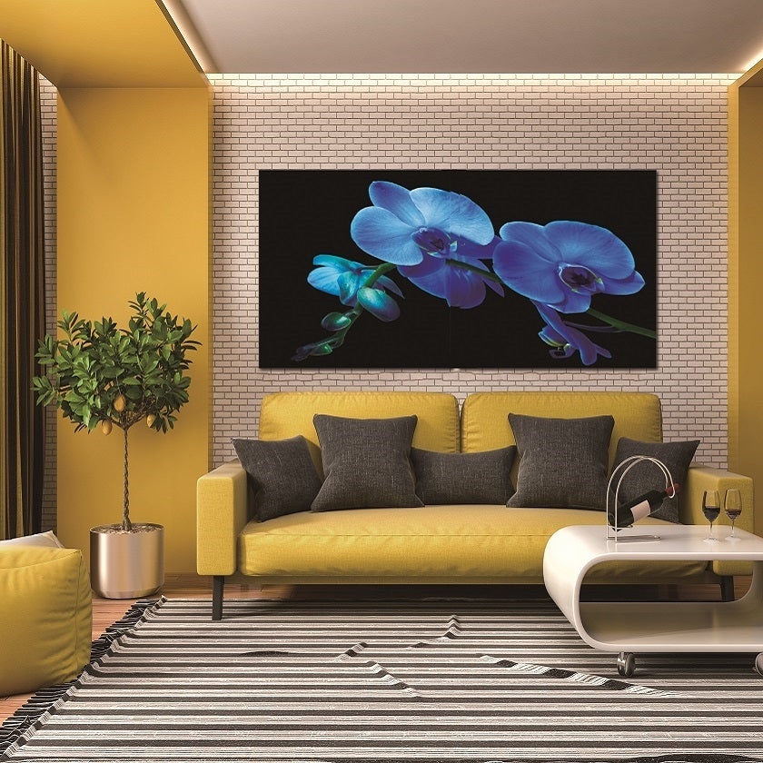 Blue Orchids Acrylic HD Print