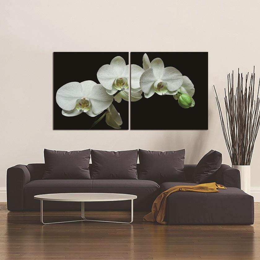 White Orchids Acrylic Print